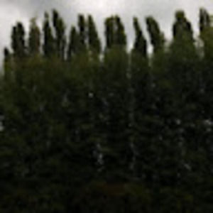 Meet your Posher, Bill